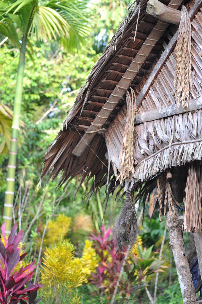 A la rencontre des Hommes Fleurs : Notre aventure chez l'une des dernières Tribus du monde, au coeur de Sumatra. eri 6750