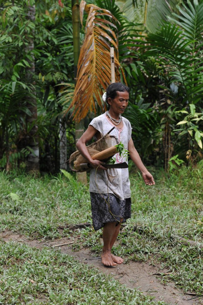 A la rencontre des Hommes Fleurs : Notre aventure chez l'une des dernières Tribus du monde, au coeur de Sumatra. eri 6807